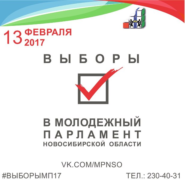 Студенты НГУЭУ выдвинули свои кандидатуры в Молодежный парламент Новосибирской области