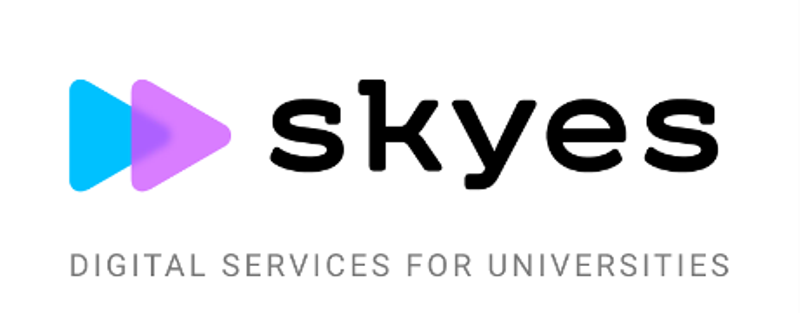 НГУЭУ апробирует онлайн-платформу Skyes для обучения студентов английскому языку