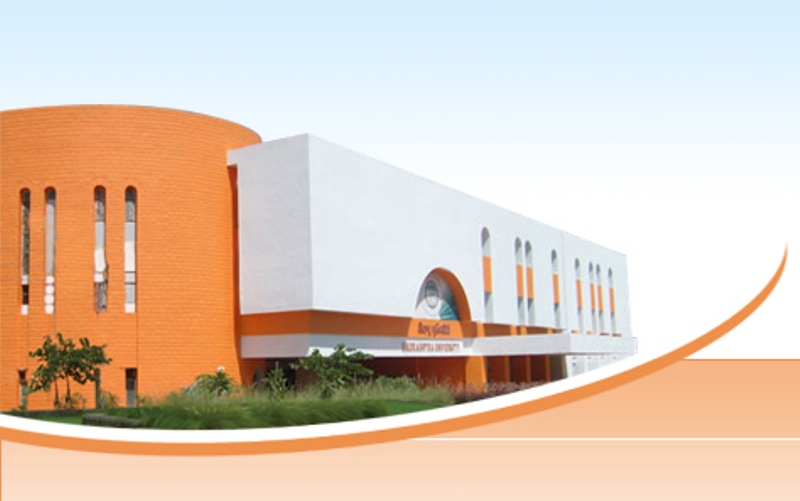 НГУЭУ и университет Саураштра (Индия) подписали меморандум о сотрудничестве